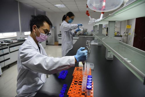 以技術為盾，護航人民健康 記開封市食藥檢驗所的疫情逆行者